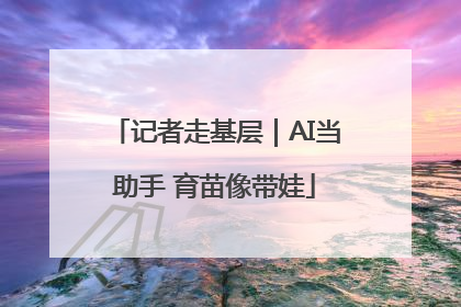 记者走基层｜AI当助手 育苗像带娃