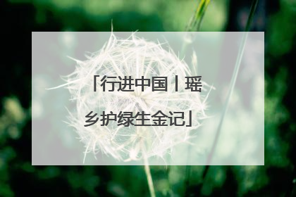行进中国丨瑶乡护绿生金记