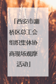 西安市灞桥区总工会组织集体协商现场观摩活动