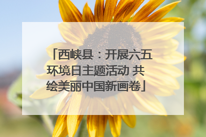 西峡县：开展六五环境日主题活动 共绘美丽中国新画卷