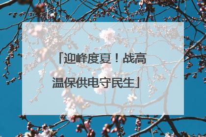迎峰度夏！战高温保供电守民生