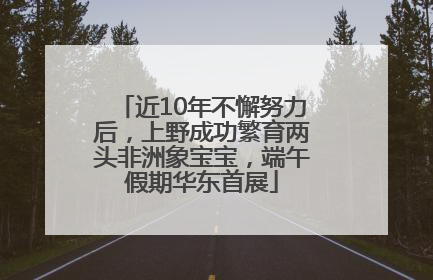 近10年不懈努力后，上野成功繁育两头非洲象宝宝，端午假期华东首展