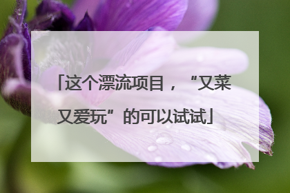 这个漂流项目，“又菜又爱玩”的可以试试