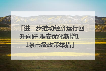 进一步推动经济运行回升向好 雅安优化新增11条市级政策举措