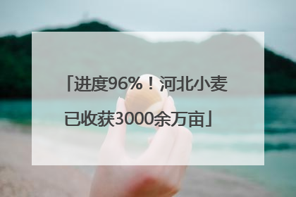进度96%！河北小麦已收获3000余万亩