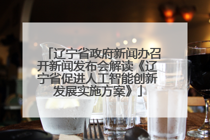 辽宁省政府新闻办召开新闻发布会解读《辽宁省促进人工智能创新发展实施方案》
