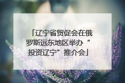 辽宁省贸促会在俄罗斯远东地区举办“投资辽宁”推介会