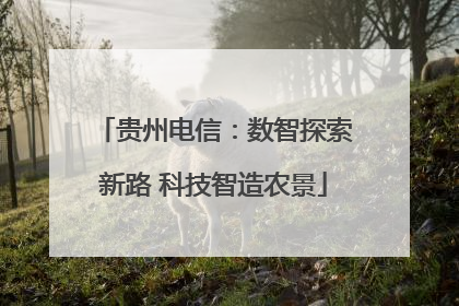 贵州电信：数智探索新路 科技智造农景
