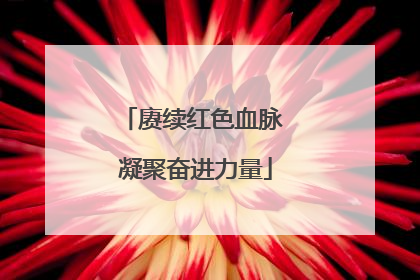 赓续红色血脉 凝聚奋进力量