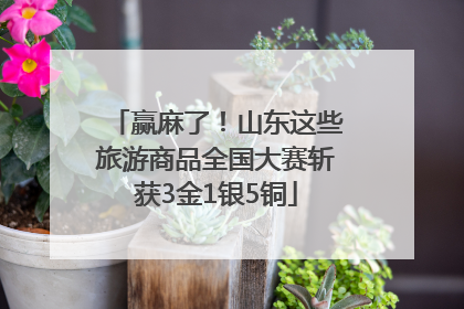 赢麻了！山东这些旅游商品全国大赛斩获3金1银5铜