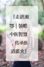 走进湘鄂｜领略中医智慧，传承医道薪火