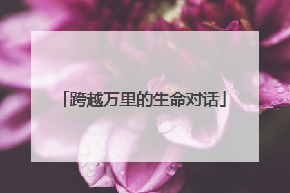 跨越万里的生命对话