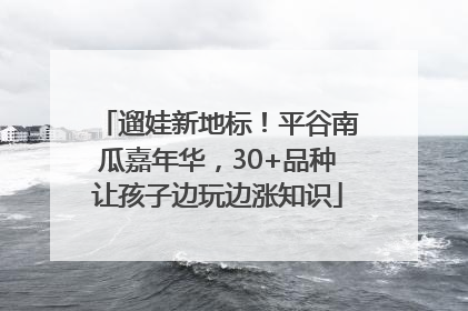 遛娃新地标！平谷南瓜嘉年华，30+品种让孩子边玩边涨知识