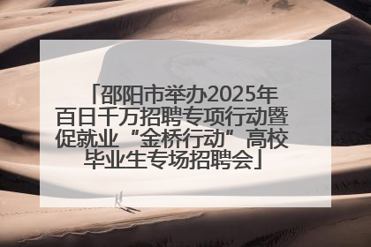 邵阳市举办2025年百日千万招聘专项行动暨促就业“金桥行动”高校毕业生专场招聘会