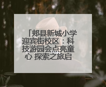 郏县新城小学迎宾街校区：科技游园会点亮童心 探索之旅启航未来