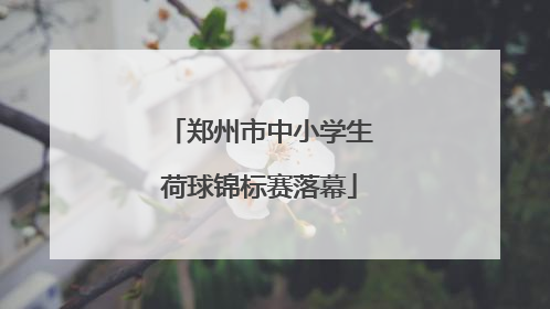 郑州市中小学生荷球锦标赛落幕
