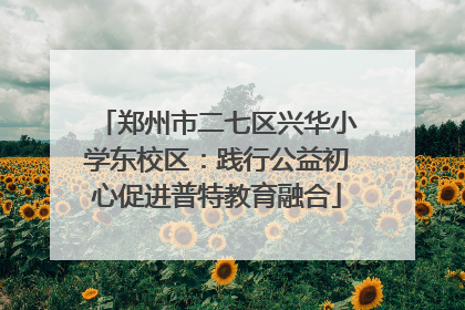 郑州市二七区兴华小学东校区：践行公益初心促进普特教育融合