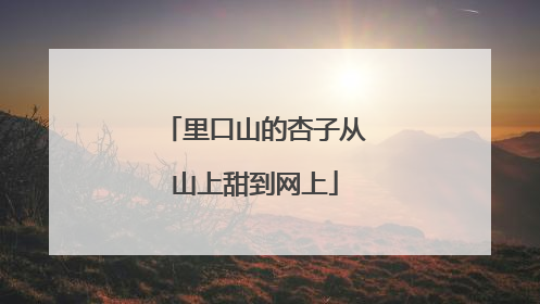 里口山的杏子从山上甜到网上