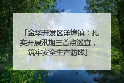 金华开发区洋埠镇：扎实开展汛期三普点巡查，筑牢安全生产防线
