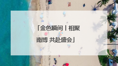 金色瞬间丨相聚南博 共赴盛会