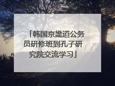 韩国京畿道公务员研修班到孔子研究院交流学习