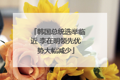韩国总统选举临近 李在明领先优势大幅减少