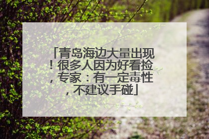 青岛海边大量出现！很多人因为好看捡，专家：有一定毒性，不建议手碰