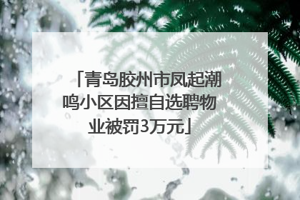 青岛胶州市凤起潮鸣小区因擅自选聘物业被罚3万元