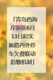 青岛西海岸新区6月13日起实施路内外停车欠费联动追缴机制