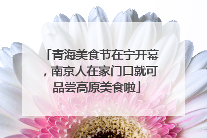 青海美食节在宁开幕，南京人在家门口就可品尝高原美食啦