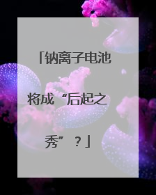 钠离子电池将成“后起之秀”？