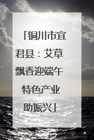 铜川市宜君县：艾草飘香迎端午 特色产业助振兴