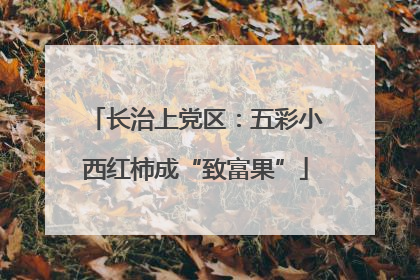 长治上党区：五彩小西红柿成“致富果”