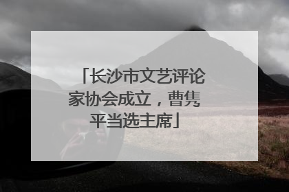 长沙市文艺评论家协会成立，曹隽平当选主席