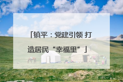 镇平：党建引领 打造居民“幸福里”
