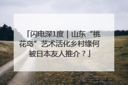 闪电深1度｜山东“桃花岛”艺术活化乡村缘何被日本友人推介？