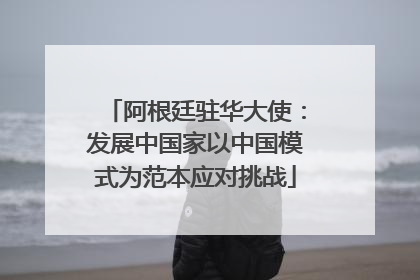 阿根廷驻华大使：发展中国家以中国模式为范本应对挑战