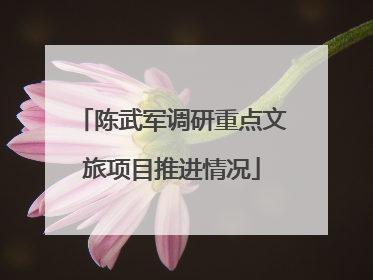 陈武军调研重点文旅项目推进情况