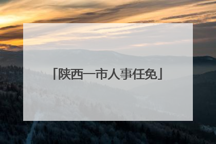 陕西一市人事任免