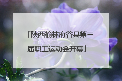 陕西榆林府谷县第三届职工运动会开幕