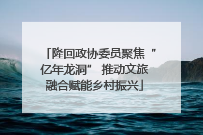隆回政协委员聚焦“亿年龙洞” 推动文旅融合赋能乡村振兴