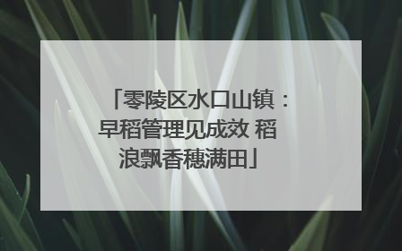 零陵区水口山镇：早稻管理见成效 稻浪飘香穗满田