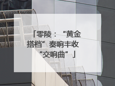 零陵：“黄金搭档”奏响丰收“交响曲”