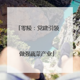 零陵：党建引领 做强蔬菜产业