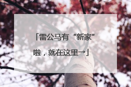 雷公马有“新家”啦，就在这里→