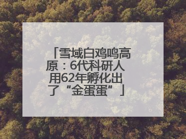 雪域白鸡鸣高原：6代科研人用62年孵化出了“金蛋蛋”