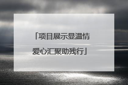 项目展示显温情 爱心汇聚助残行