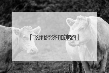 飞地经济加速跑