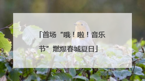 首场“哦！啦！音乐节”燃爆春城夏日