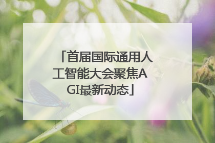首届国际通用人工智能大会聚焦AGI最新动态